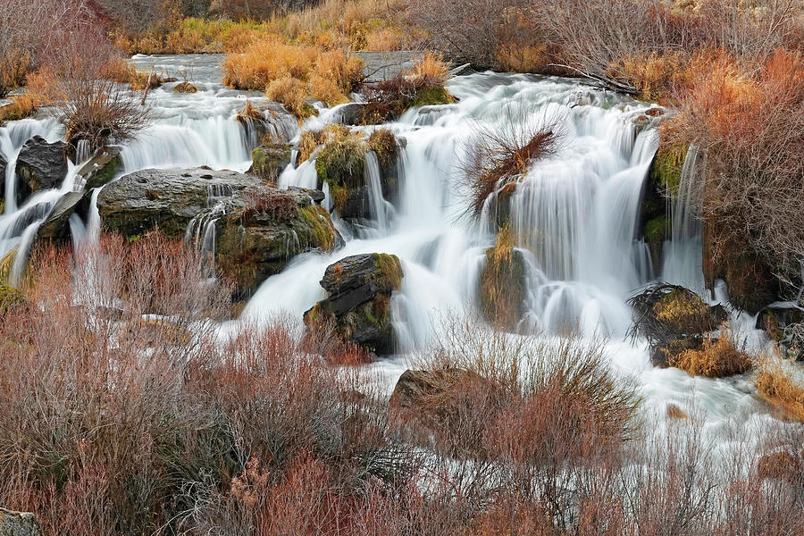 Clines Falls, Oregon Photograph