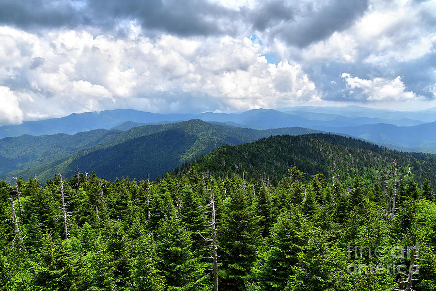 Clingmans Dome 1 Photograph by Phil Perkins