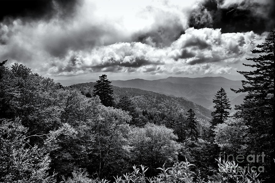 Clingmans Dome 10 Photograph by Phil Perkins