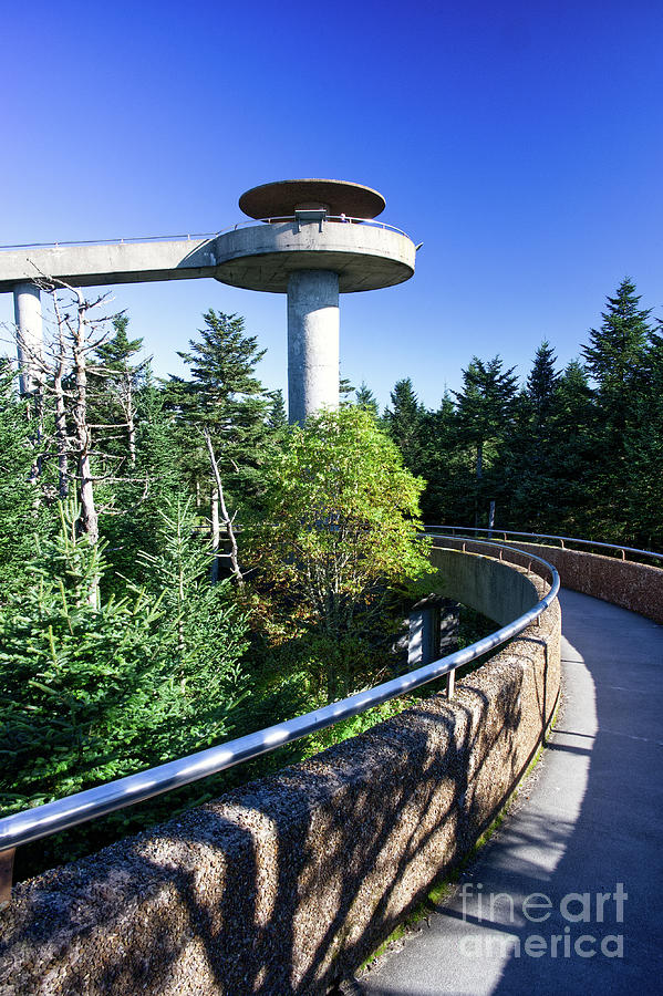 Clingmans Dome 12 Photograph by Phil Perkins