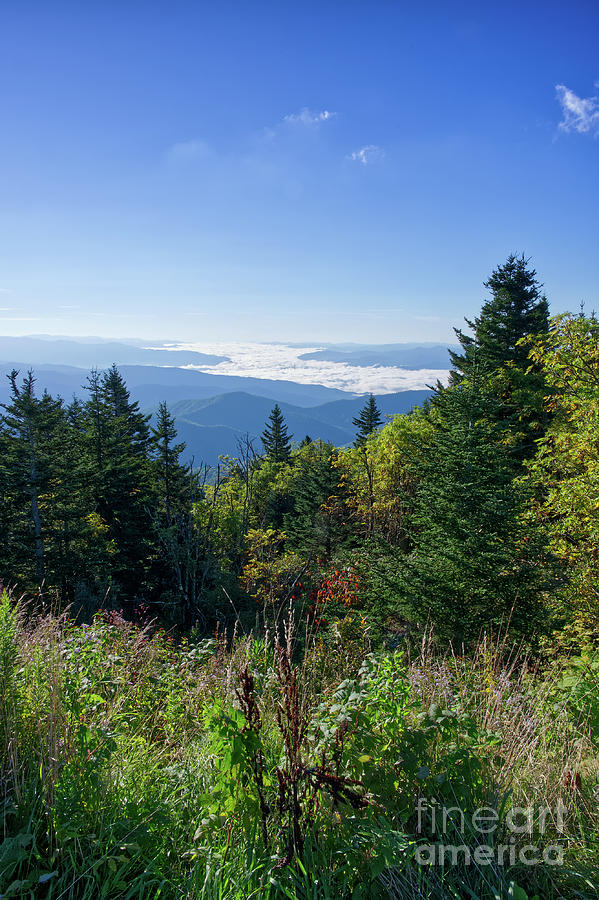Clingmans Dome 18 Photograph by Phil Perkins