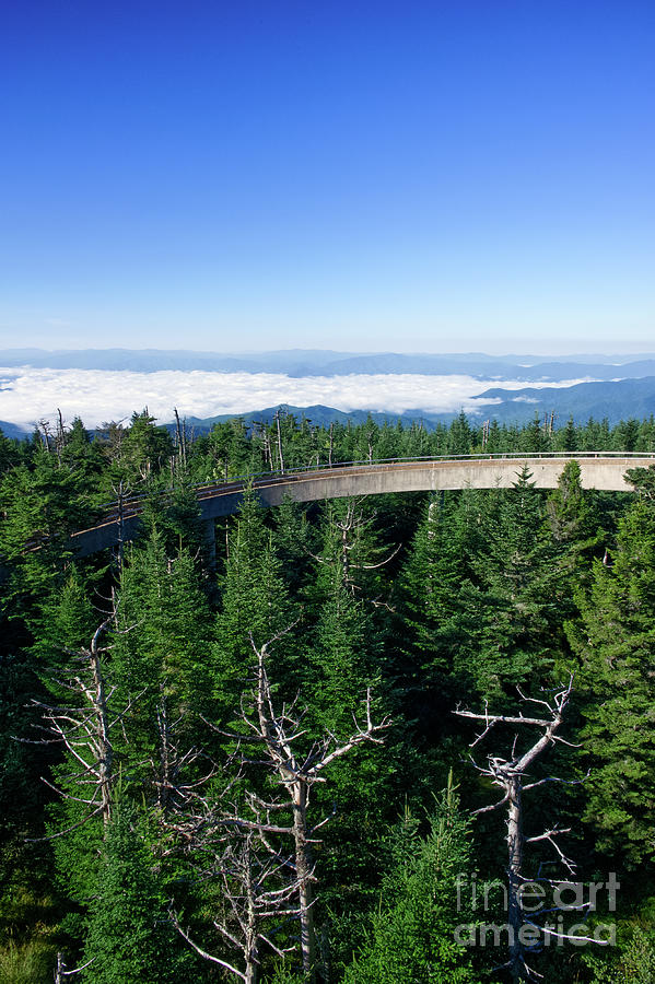 Clingmans Dome 19 Photograph by Phil Perkins
