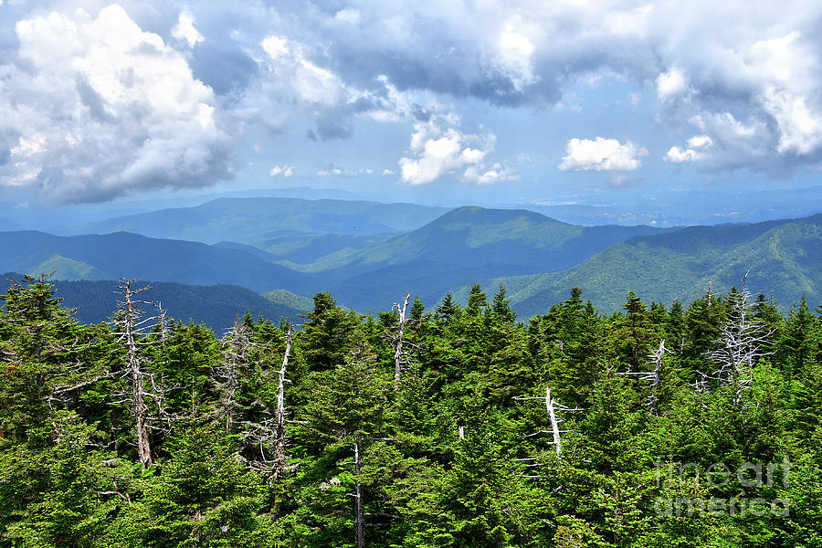 Clingmans Dome 2 Photograph by Phil Perkins