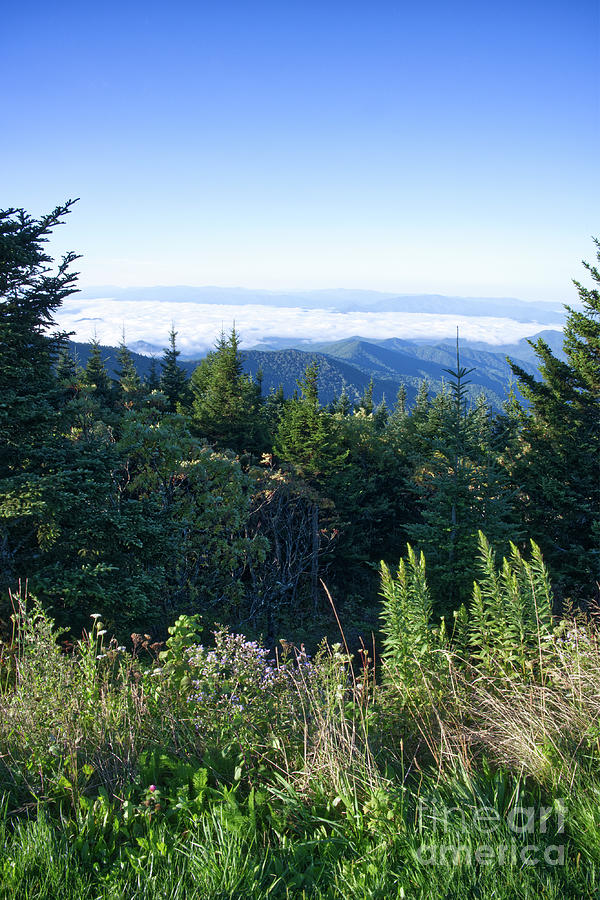 Clingmans Dome 23 Photograph by Phil Perkins