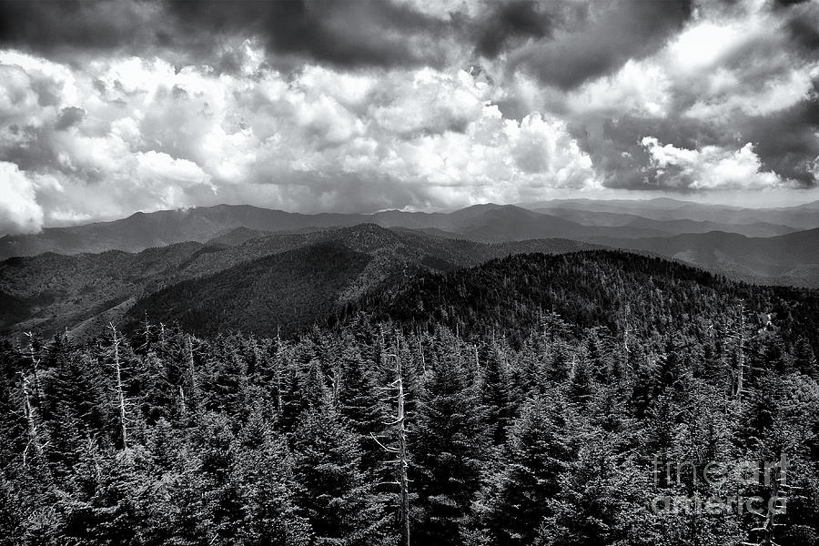 Clingmans Dome 6 Photograph by Phil Perkins