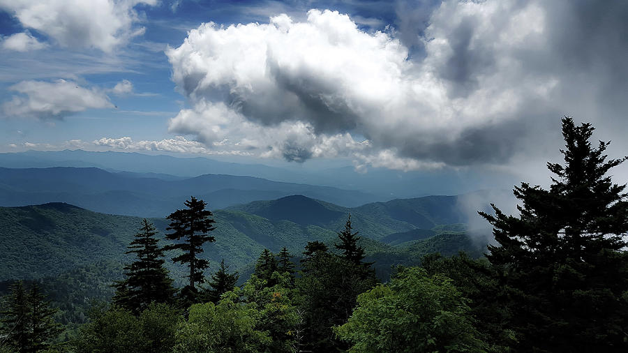 Clingmans Dome in the Smokies Digital Art by Geoff Farmer - Fine Art ...