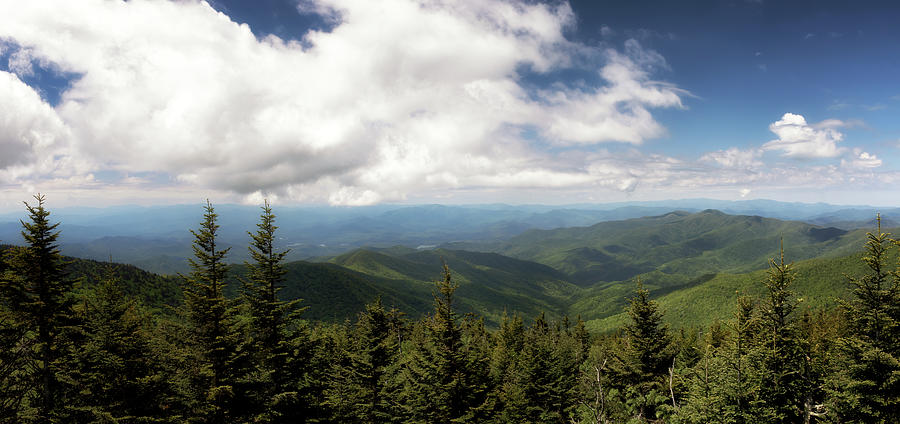 Clingmans Dome Panorama - Great Smoky Mountains Photograph by Susan Rissi Tregoning
