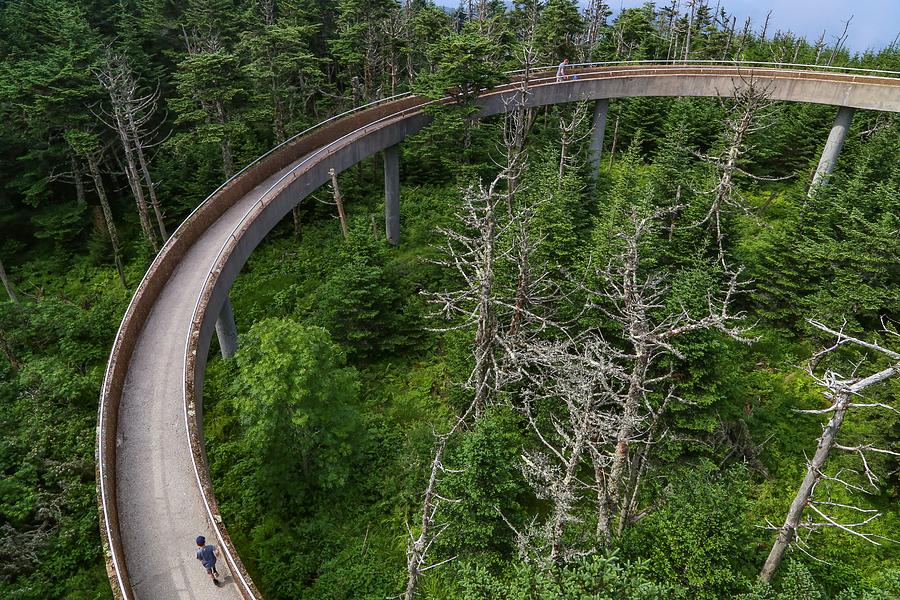 Clingmans Dome Ramp Photograph by Kevin Craft