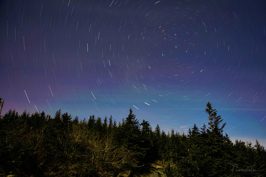 Clingmans Dome Star Trail Photograph by Nunweiler Photography