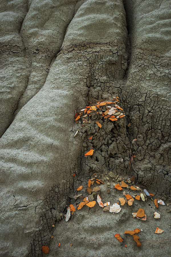 Clinker Shards - Bisti Badlands Photograph by Alexander Kunz