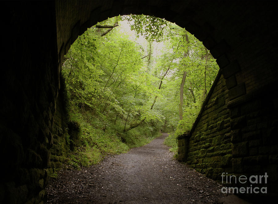 Clockburn Lonnen Tunnel Road Photograph by Doc Braham