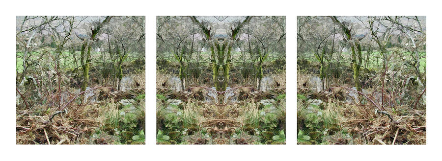 Close to the Edge - The Solid Time of Change - Triptych 1 Digital Art by David Hargreaves