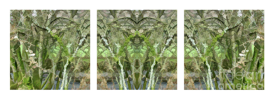 Close to the Edge - The Solid Time of Change - Triptych 3 Digital Art by David Hargreaves