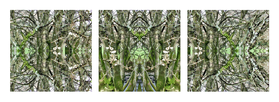 Close to the Edge - The Solid Time of Change - Triptych 4 Digital Art by David Hargreaves