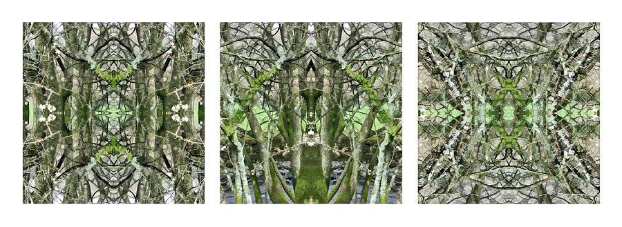 Close to the Edge - The Solid Time of Change - Triptych 6 Digital Art by David Hargreaves
