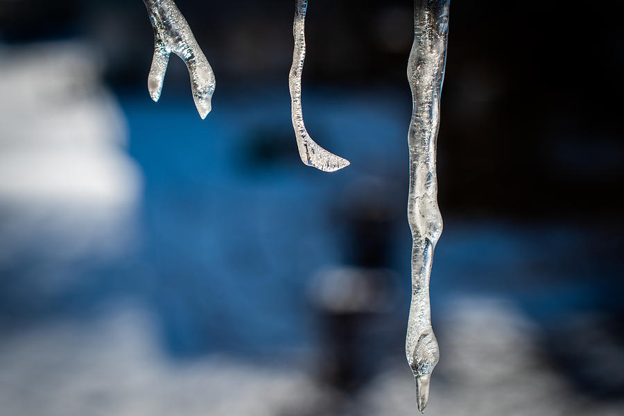 Close up and Frozen Photograph by Evan Foster