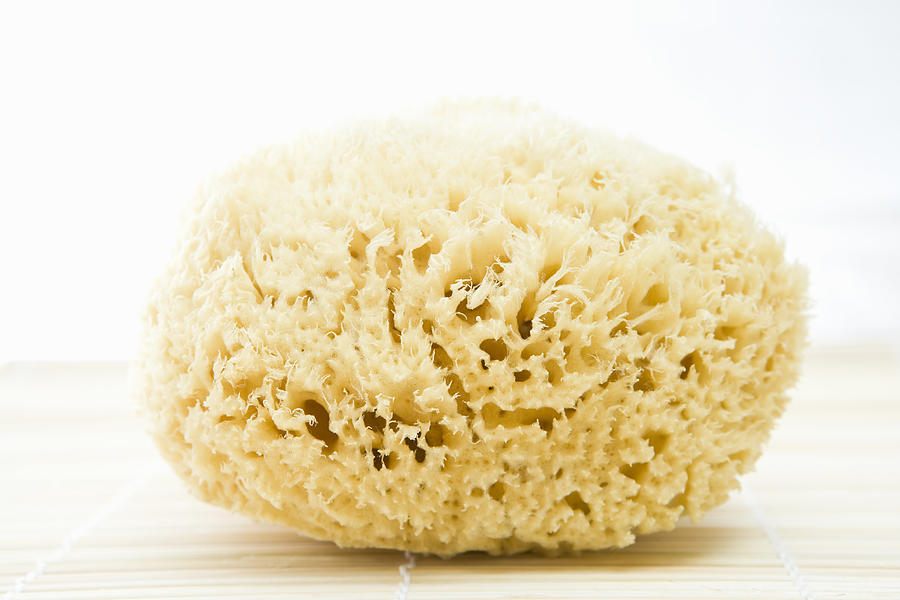 Close up of a bath sponge Photograph by Lena Clara