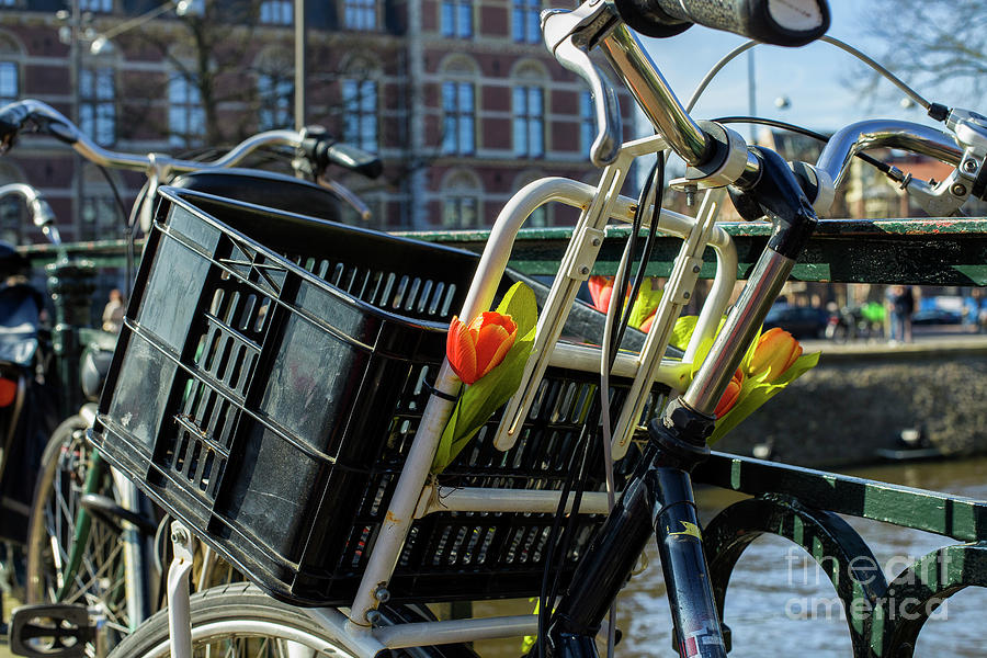 Close up of a Dutch bicycle in Amsterdam Photograph by Patricia Hofmeester