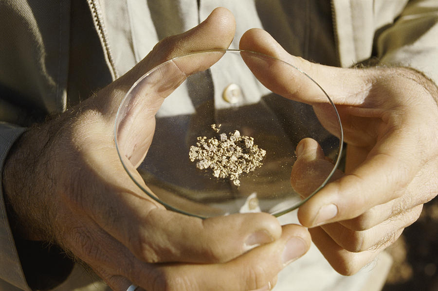 Close-Up of a Man Holding a Dish of Small Gold Nuggets, Australia Photograph by Chris Sattlberger