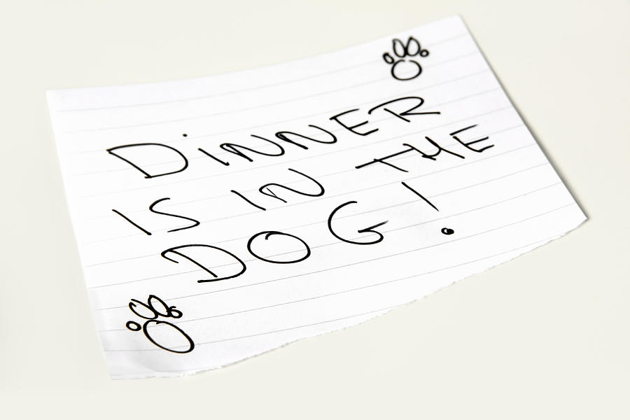 Close-up of a note saying Dinner is in the dog Photograph by Rachel Husband