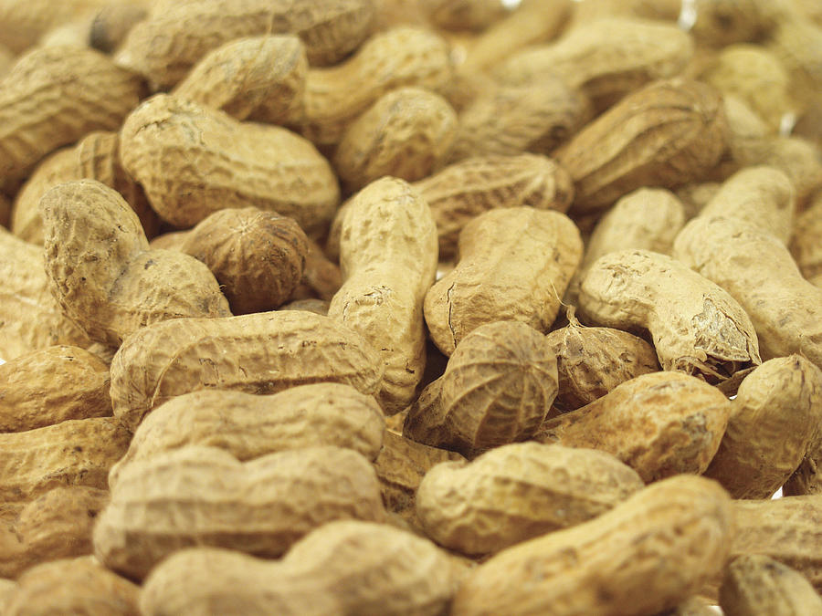 Close-up of a pile of peanuts Photograph by Medioimages/Photodisc