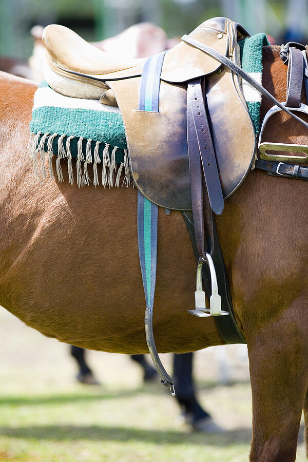Close-up of a saddle on a horse Photograph by Glowimages