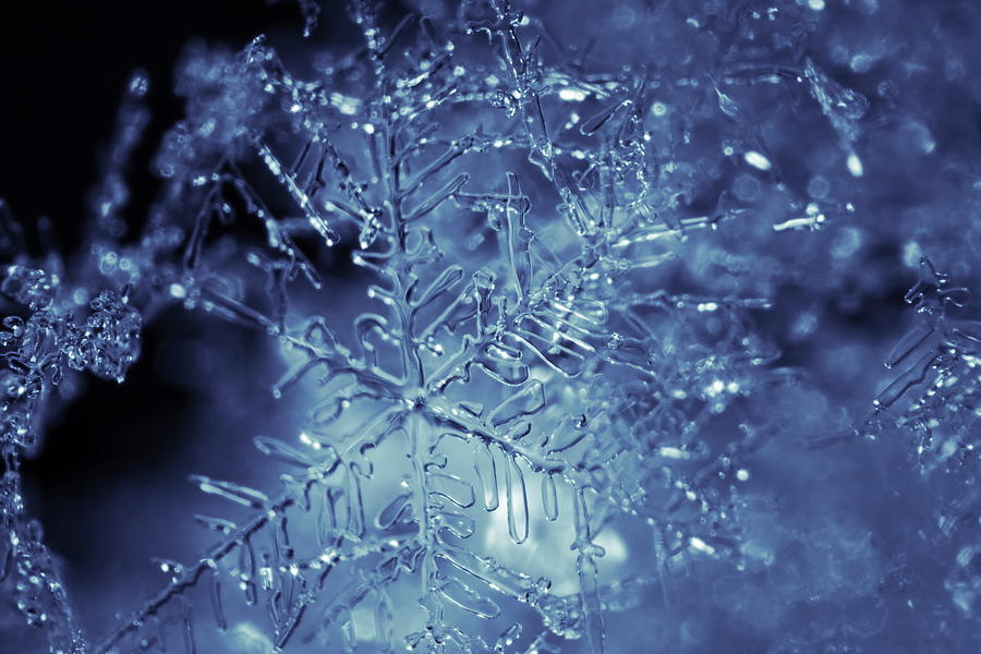 Close up of an icy snowflake shimmering blue Photograph by Ulrich Kunst And Bettina Scheidulin
