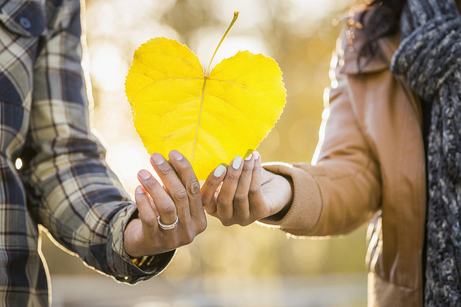 Close up of Black couple holding heart shaped leaf Photograph by Mike Kemp