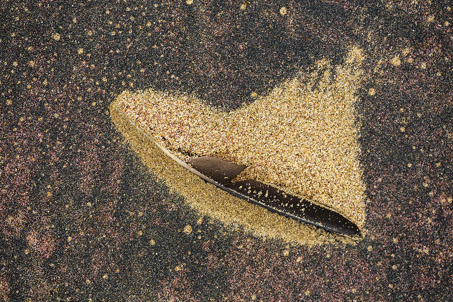 Close up of feather in sand Photograph by Jeremy Woodhouse
