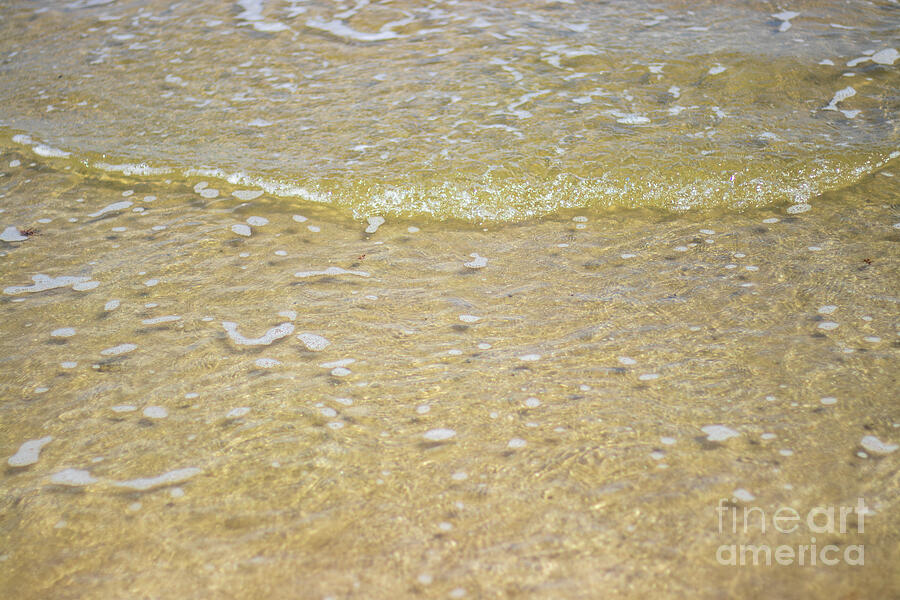 Close-Up of Gentle Surf on a Sandy Beach at Surfside Beach, Texas Photograph by Brigitte Blanchette Thompson Close-Up of Gentle Surf on a Sandy Beach at Surfside Beach, Texas Photograph by Brigitte Blanchette Thompson