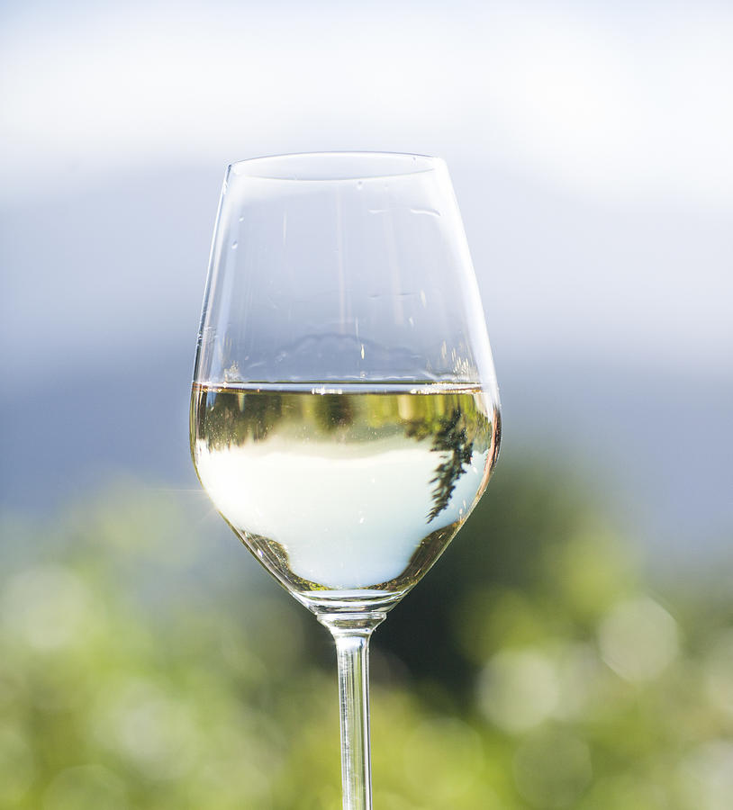 Close-up of glass with white wine Photograph by Johner Images