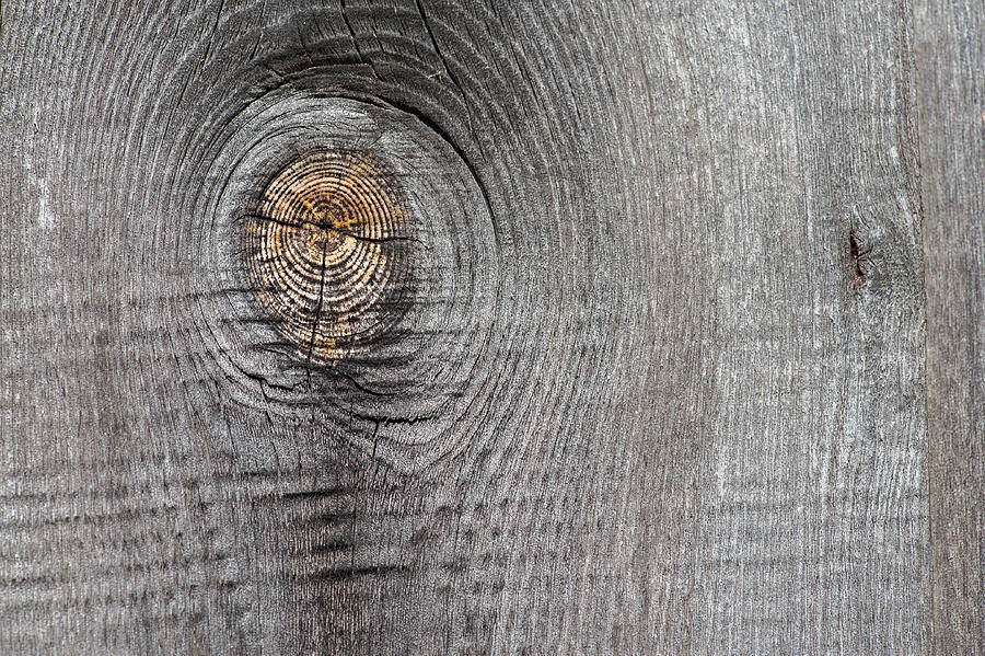 Close-up of grey wood  old planks texture background Photograph by Yashabaker