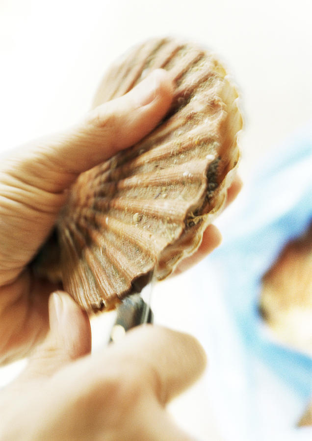 Close-up of hand opening a scallop. Photograph by Jean-Blaise Hall