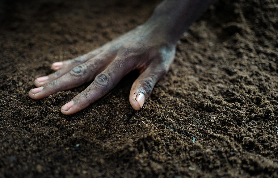 Close-Up Of Hand touching Soil Photograph by Artur Carvalho
