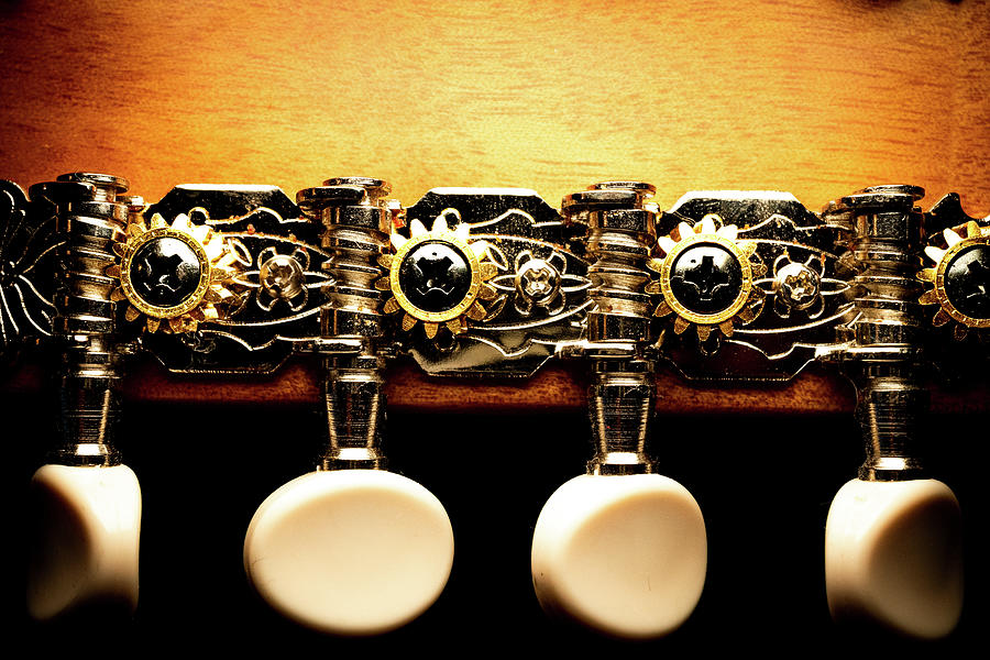 Close Up of Mandolin Tuning System with Ornate Metal and Wood Gr
