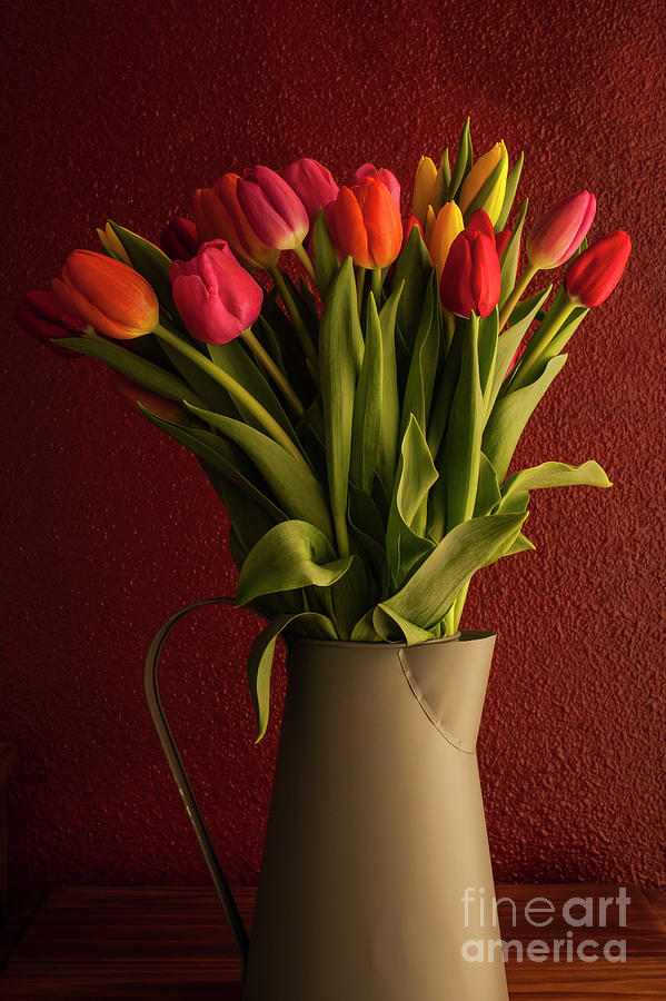 Close-up Of Multicolored Tulips In Watering Can Photograph