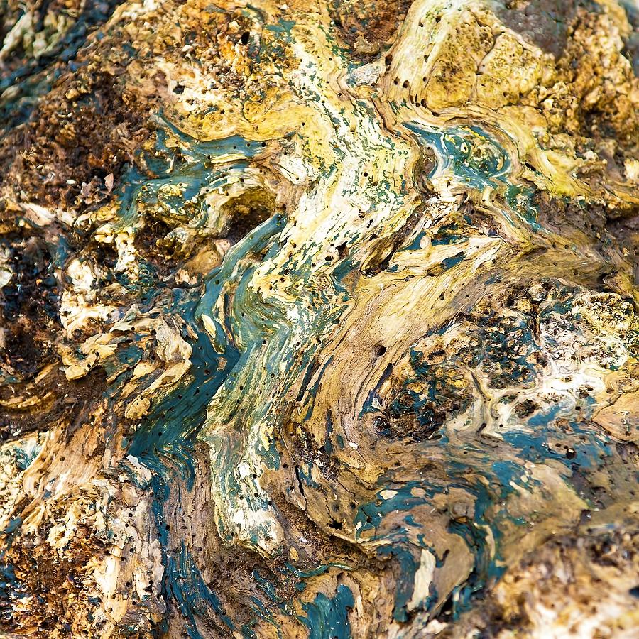 Close Up Of Rock Formation Photograph by Nicolae Gherasim / EyeEm Close Up Of Rock Formation Photograph by Nicolae Gherasim / EyeEm