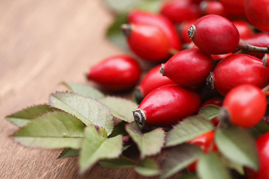 Close up of rose hip berries and leaves on wooden table Photograph by Agalma