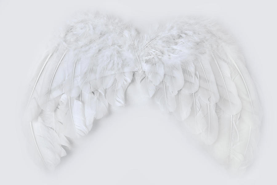 Close Up Of The Angel Wings White On White Photograph by Severija Kirilovaite