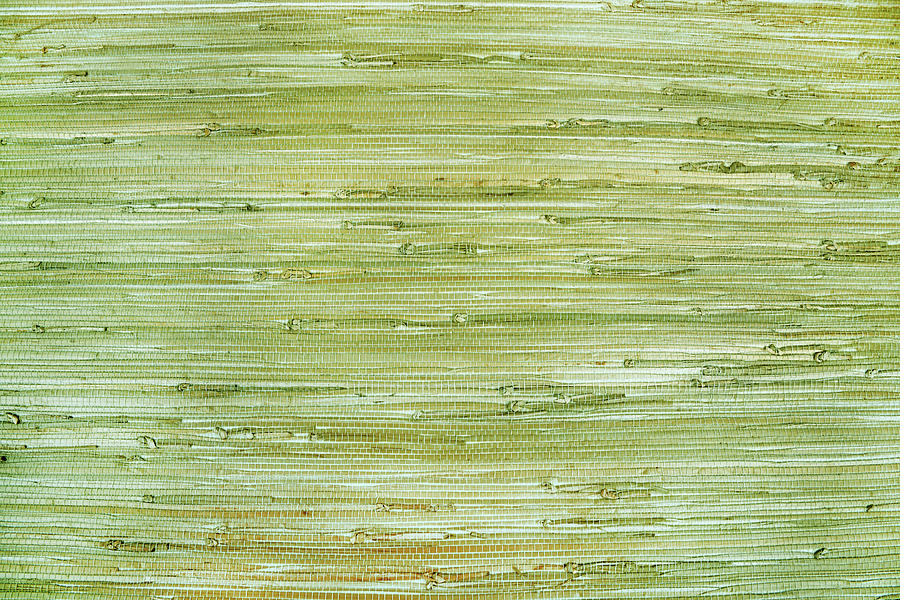 Close Up Of The Green  Bamboo Grass Wicker Wall Background Photograph by Severija Kirilovaite