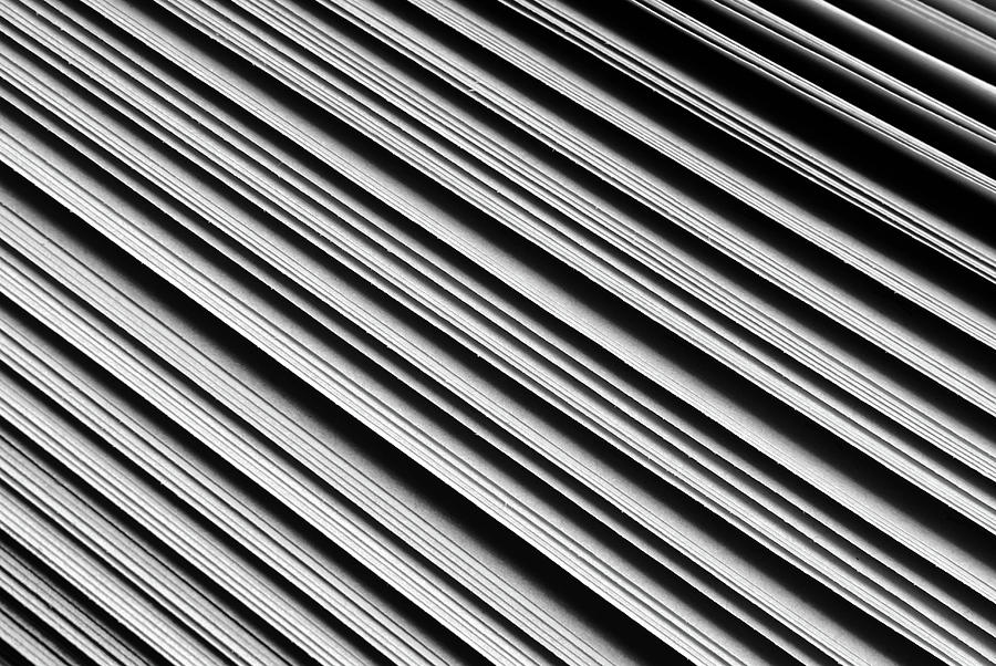 Close Up Of The Paper Texture Photograph by Severija Kirilovaite