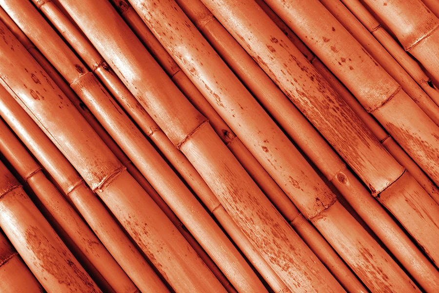 Close Up Of The Red  Bamboo Texture Background Photograph by Severija Kirilovaite