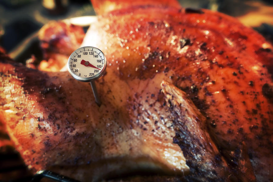 Close up of thermometer in roasted turkey Photograph by Okrad