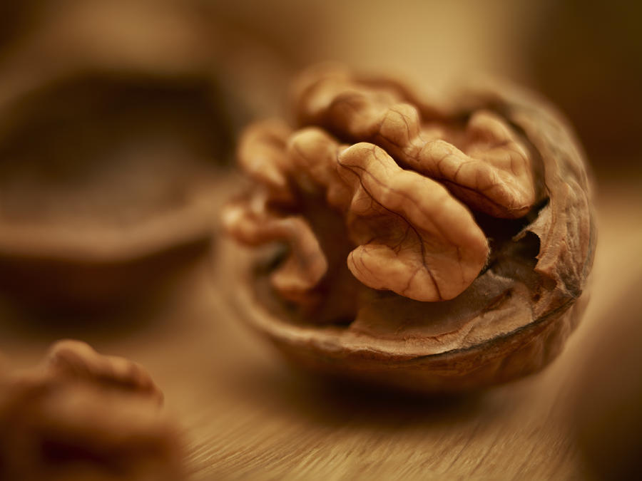 Close up of walnut in shell Photograph by Adam Gault