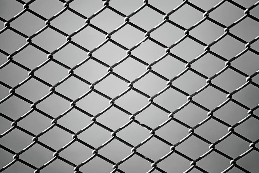 close up of wire fence in Black and White Photograph