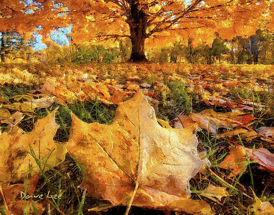 Close-up On Fall Digital Art by Dave Lee