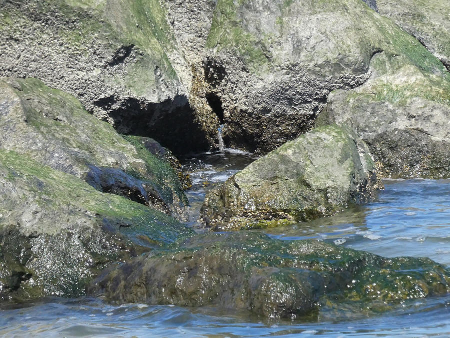 Close Up - Rocky Jetty Photograph By Sharon Gucker - Fine Art America