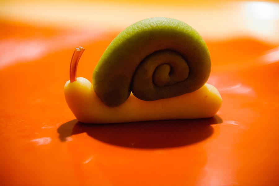 Close-Up Side View Of Snail Representation Photograph by Piotr Hnatiuk / EyeEm