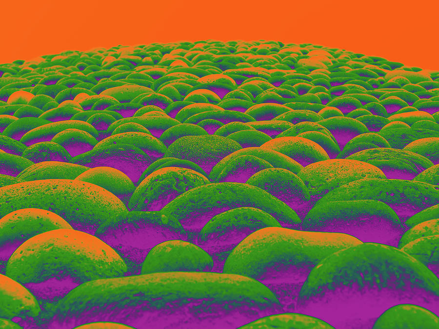 Close Up To A Rock Wall, Red, Orange, Green, And Purple Digital Art by David Desautel