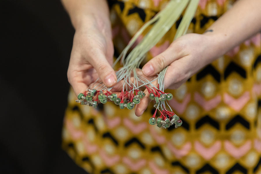 Close up view of a female neuroscientist separating the connectors on the end of an EEG cable in her hands Photograph by Diane Keough